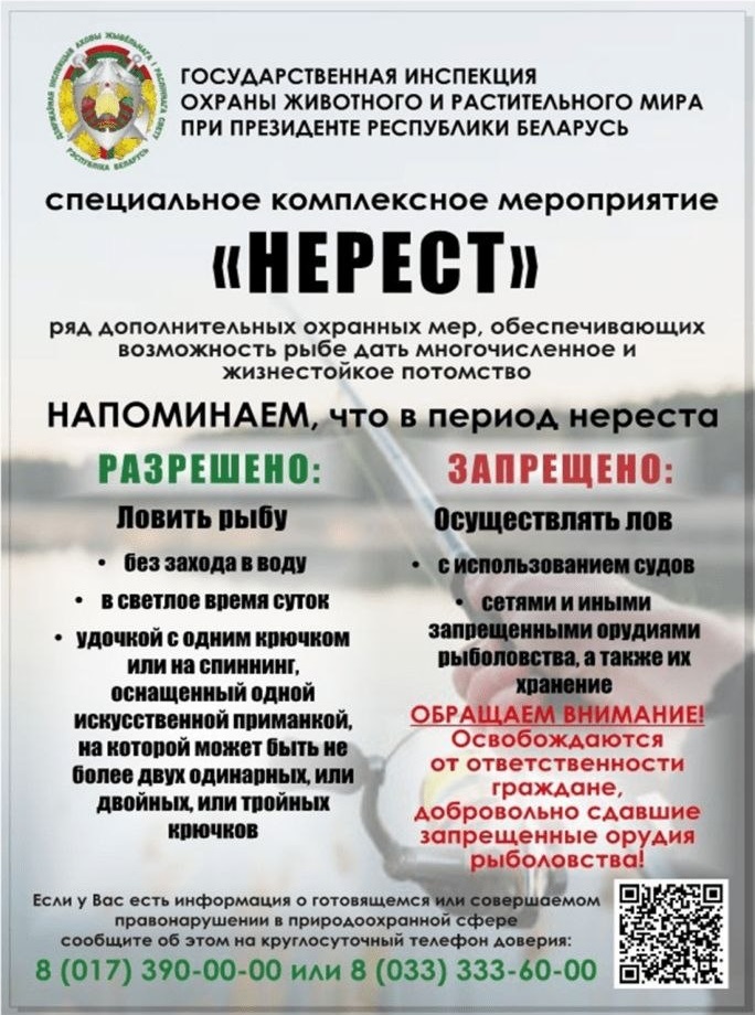 Спецмероприятие «Нерест»